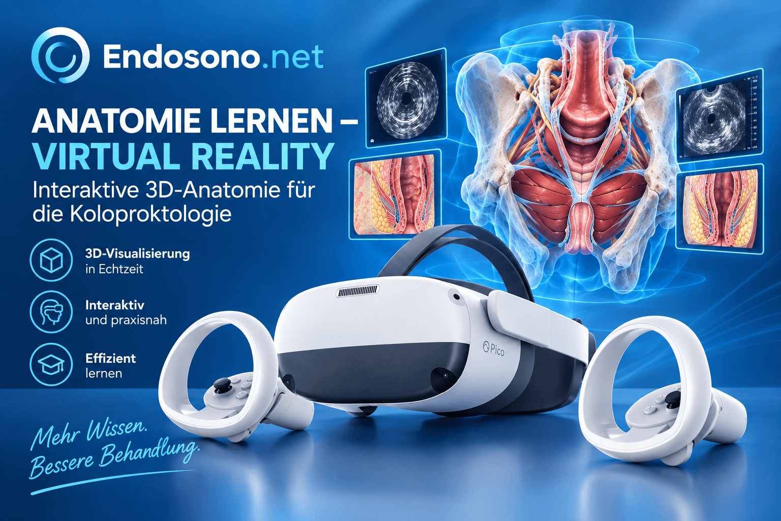 Anatomie lernen mit VR System